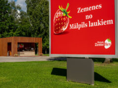 Mālpilī svinēti zemeņu svētki