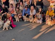 Pastaiga ar korgijiem