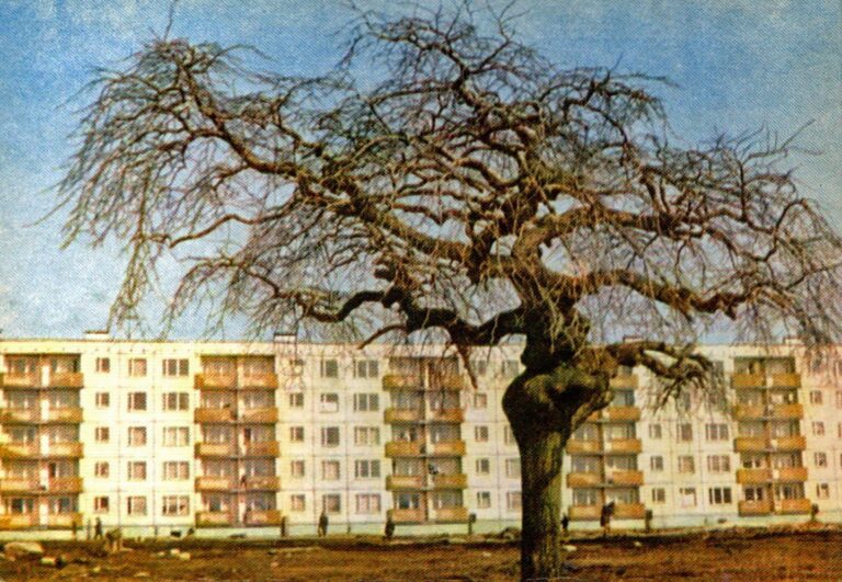 Rīgas mikrorajonā Ķengaragā. 1970. gadi