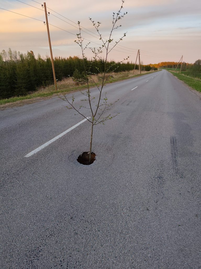 Ērģemes ceļš pie Pentām.