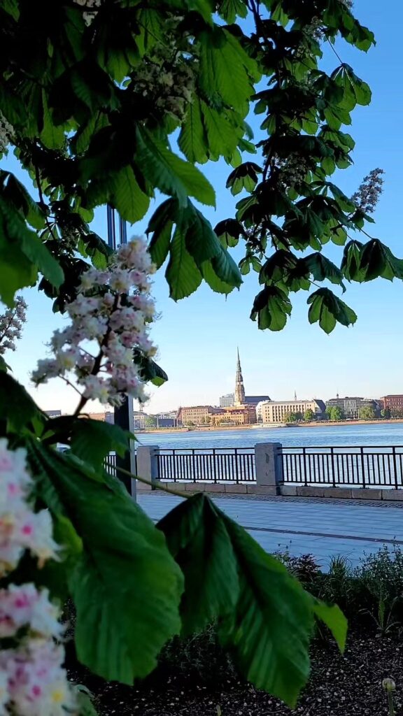 CityRiga.lv – No mūsu pilsētas dzīves