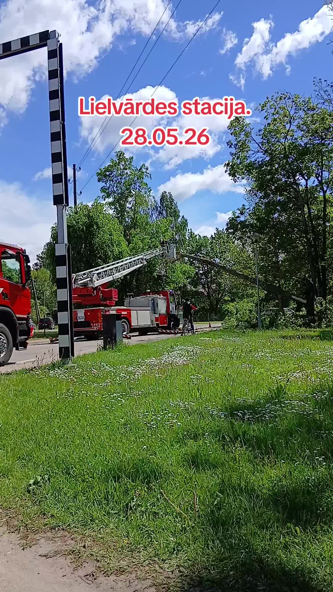 Vētras postijumi lielvārdē