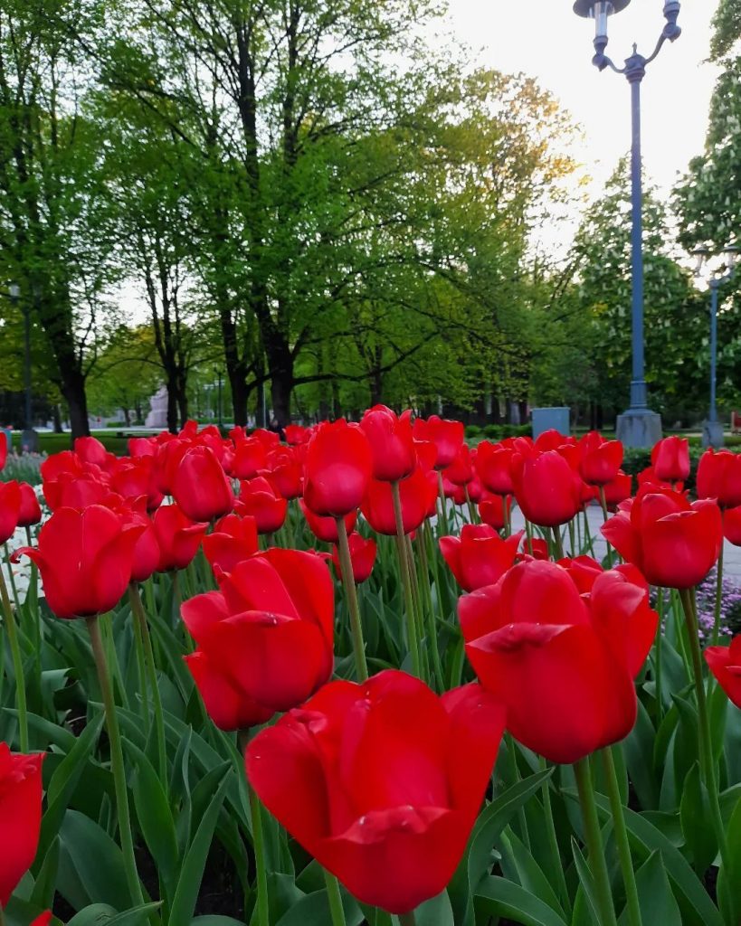 Rīgas Kalendārs 06.05.2024