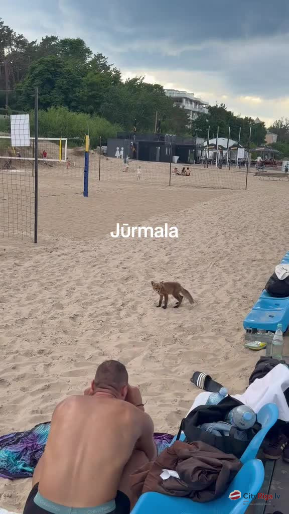Lapsa . Jurmala