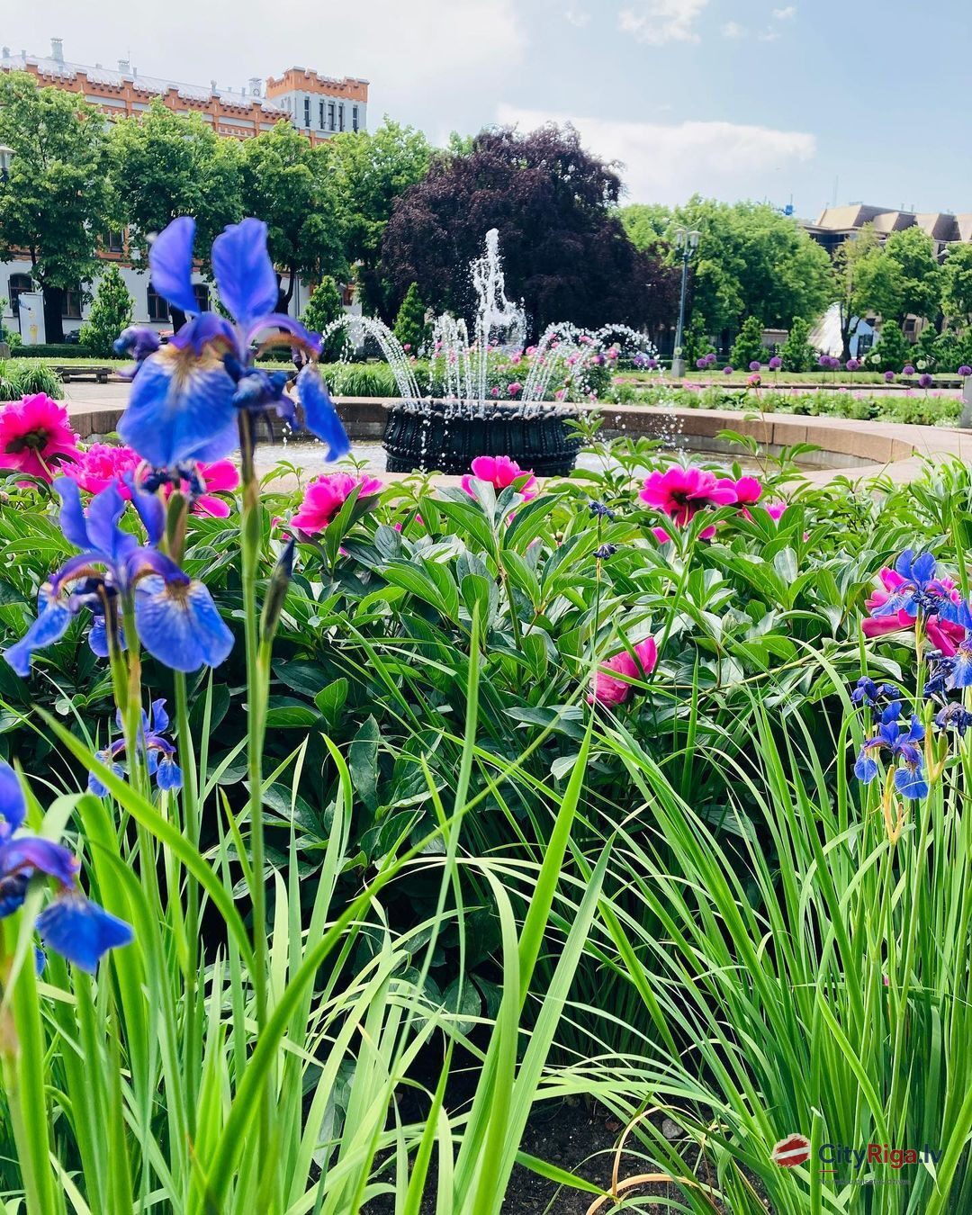 Rīgas Kalendārs 19.06.2021