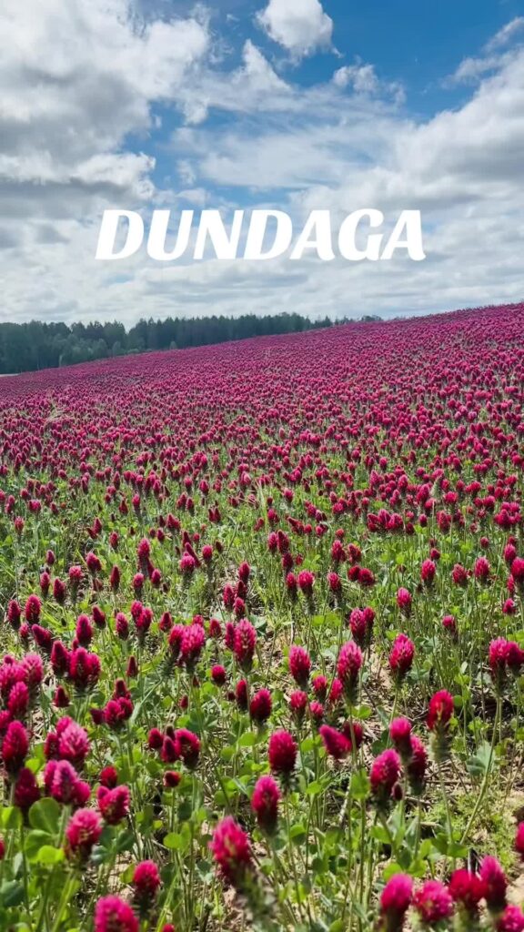 Dundaga
