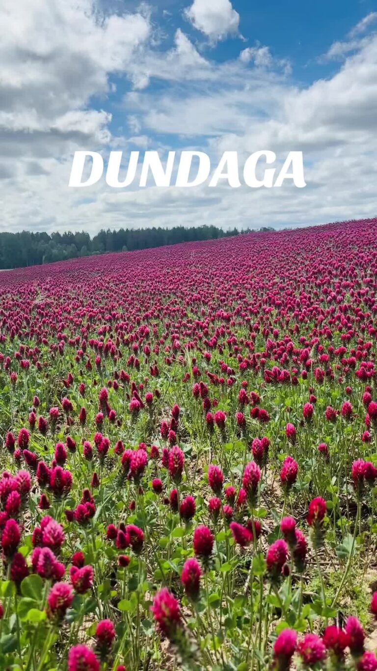 Dundaga
