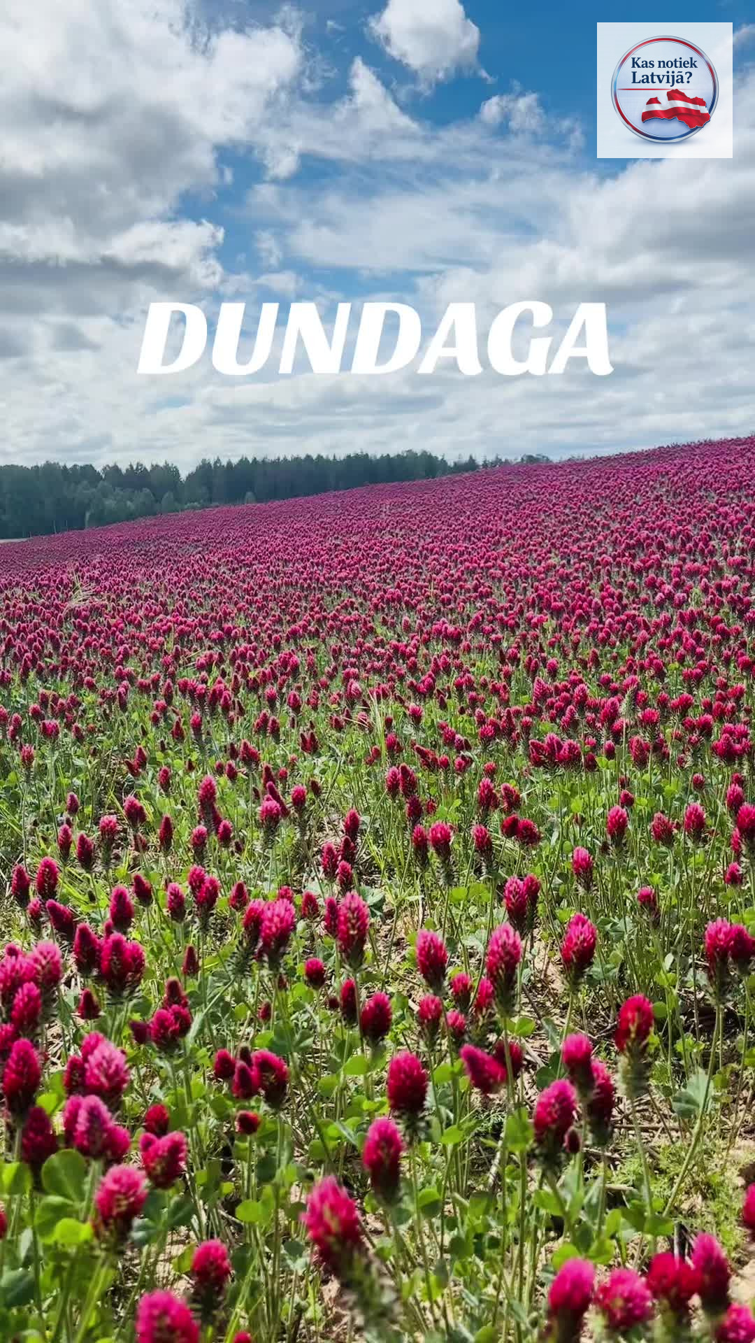 Dundaga