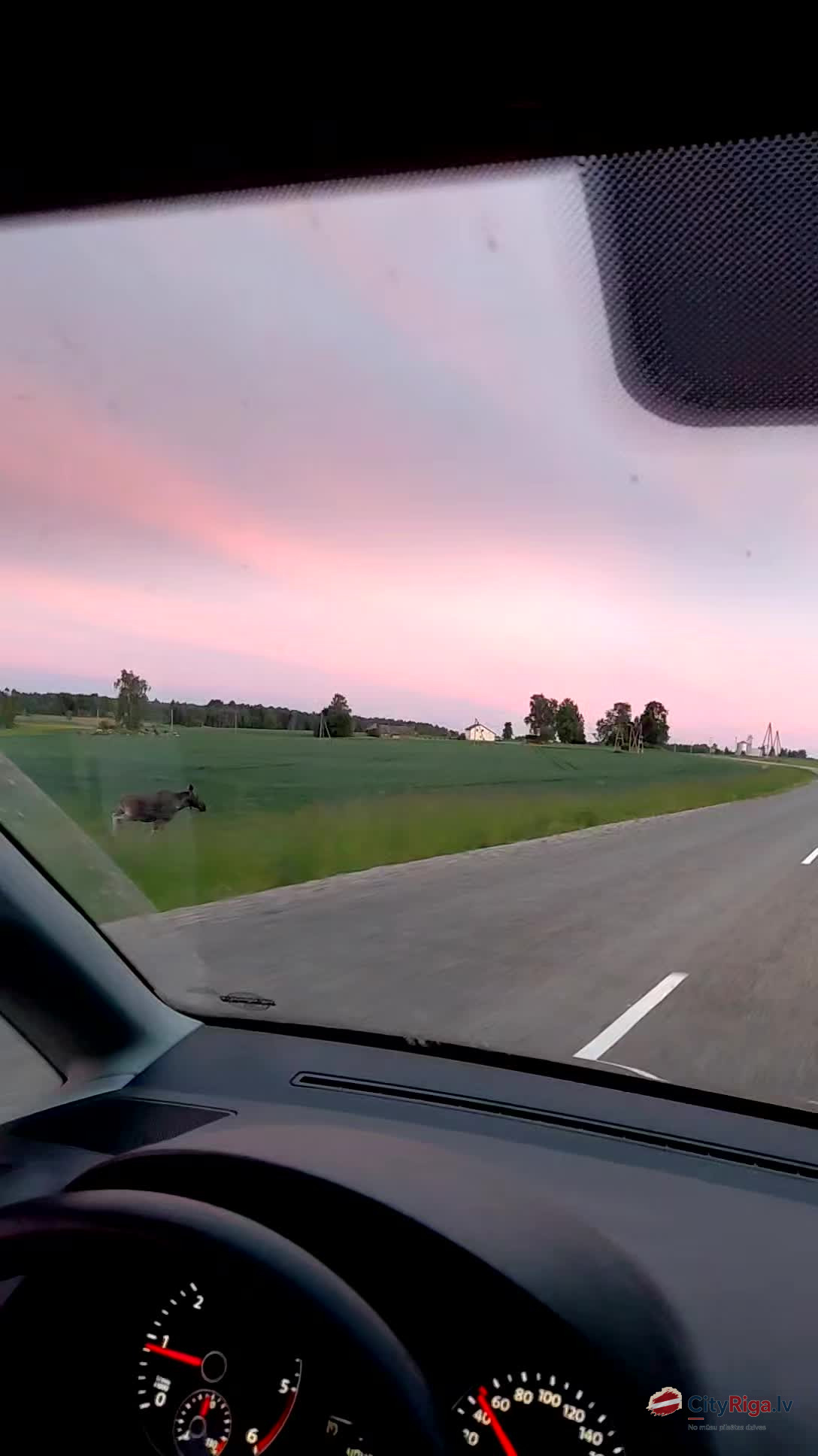 Ne katru dienu blakus auto skrien alnis!