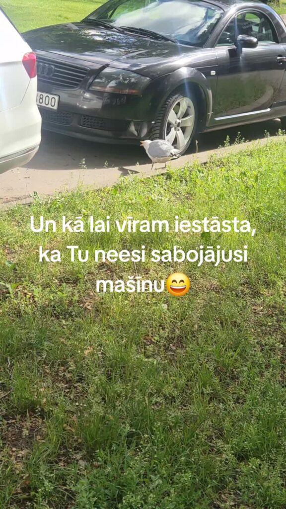 Mašīna sabojājās pati. Goda vārds!