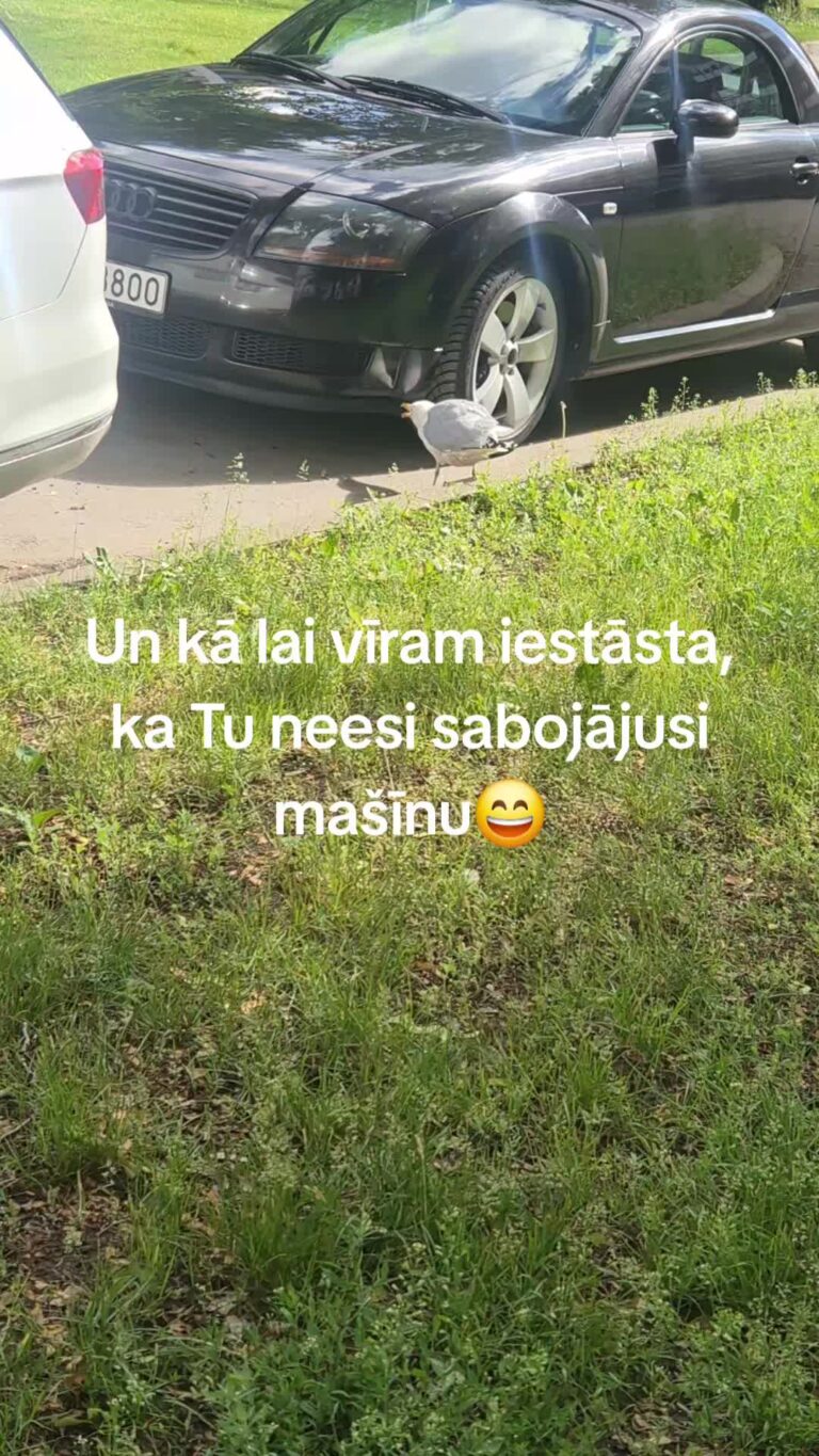 Mašīna sabojājās pati. Goda vārds!