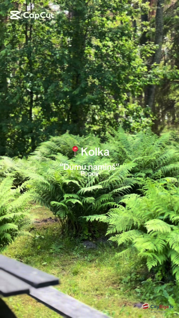 Kolka