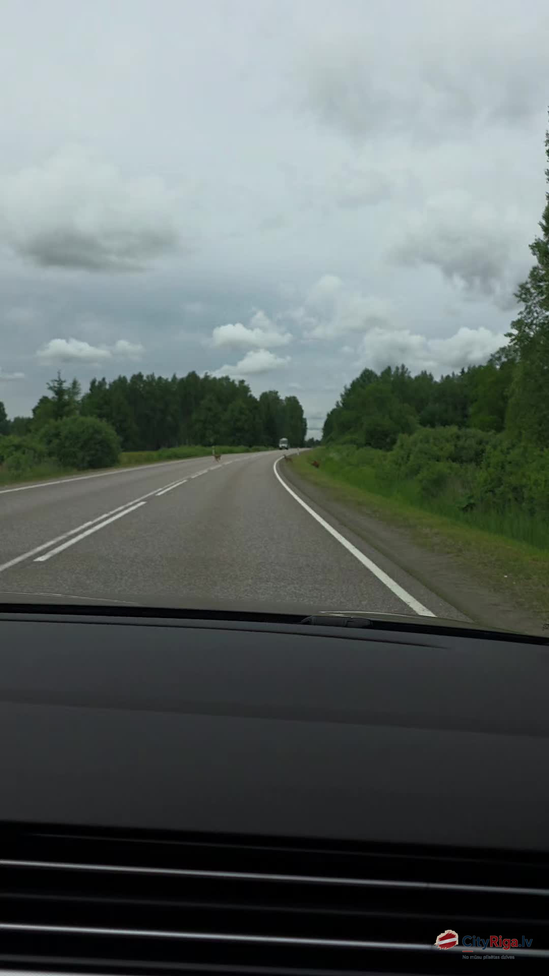 Stirnu māte aizskrien — mazie bembiji vieni ceļa vidū