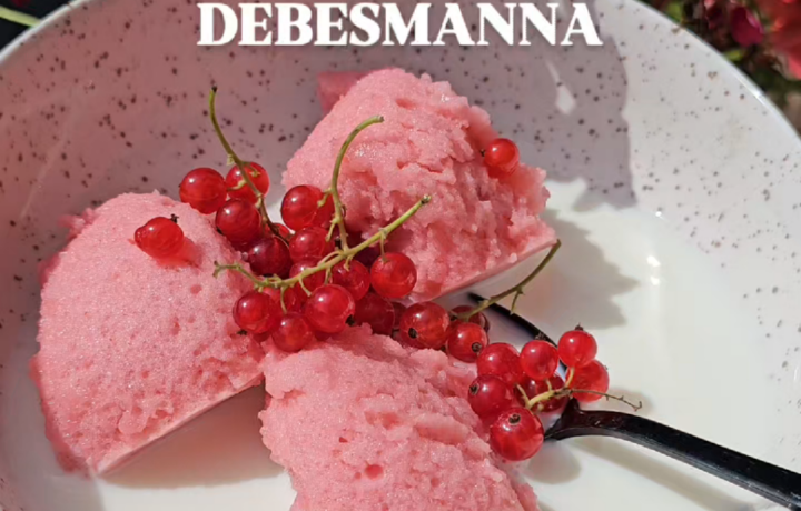 JĀŅOGU  DEBESMANNA