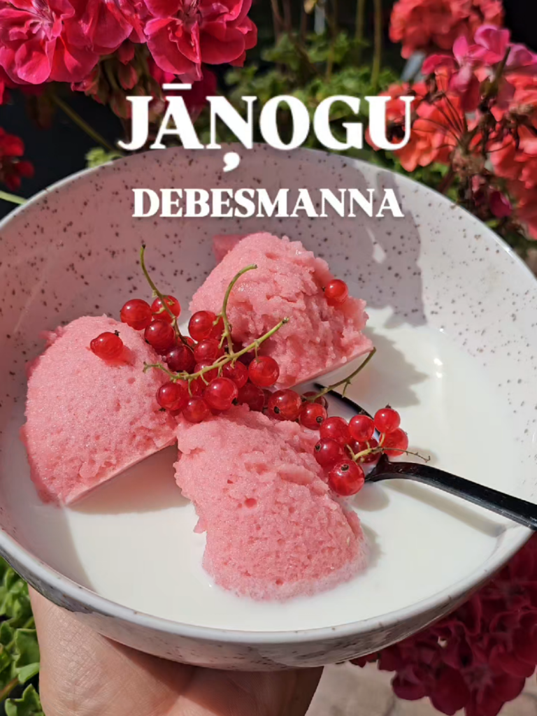 JĀŅOGU  DEBESMANNA