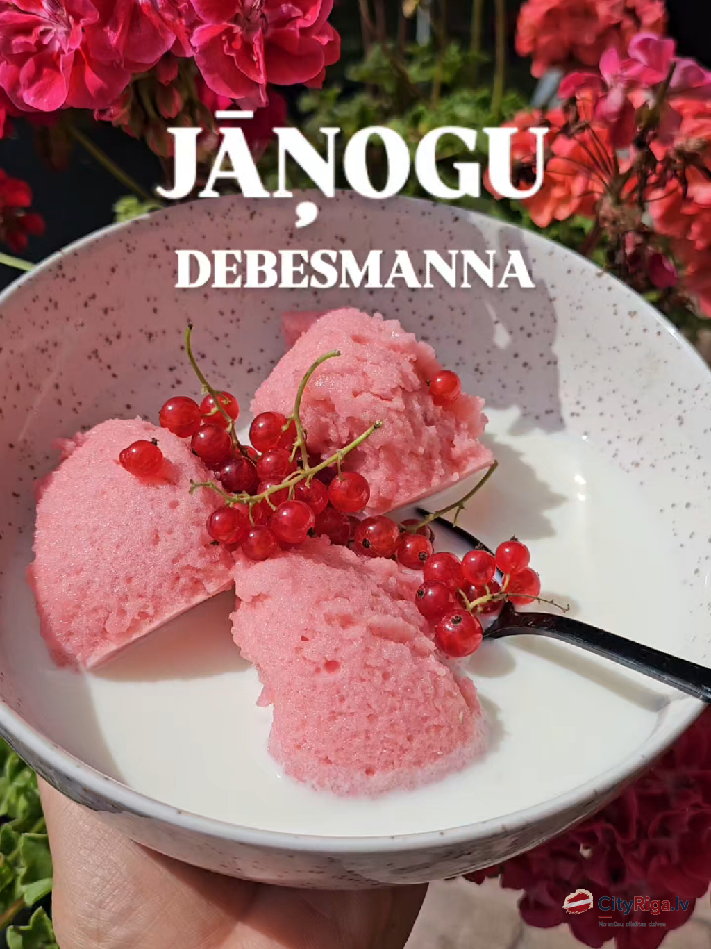 JĀŅOGU  DEBESMANNA