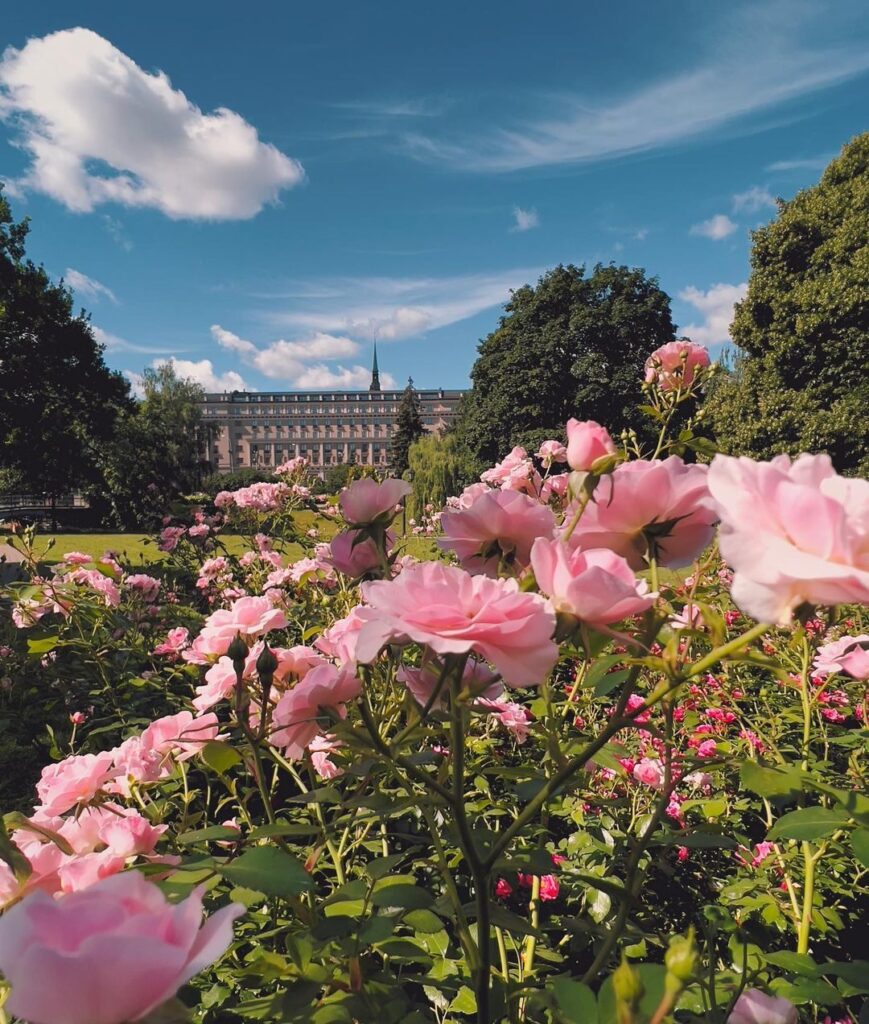 Rīgas Kalendārs 25.07.2022