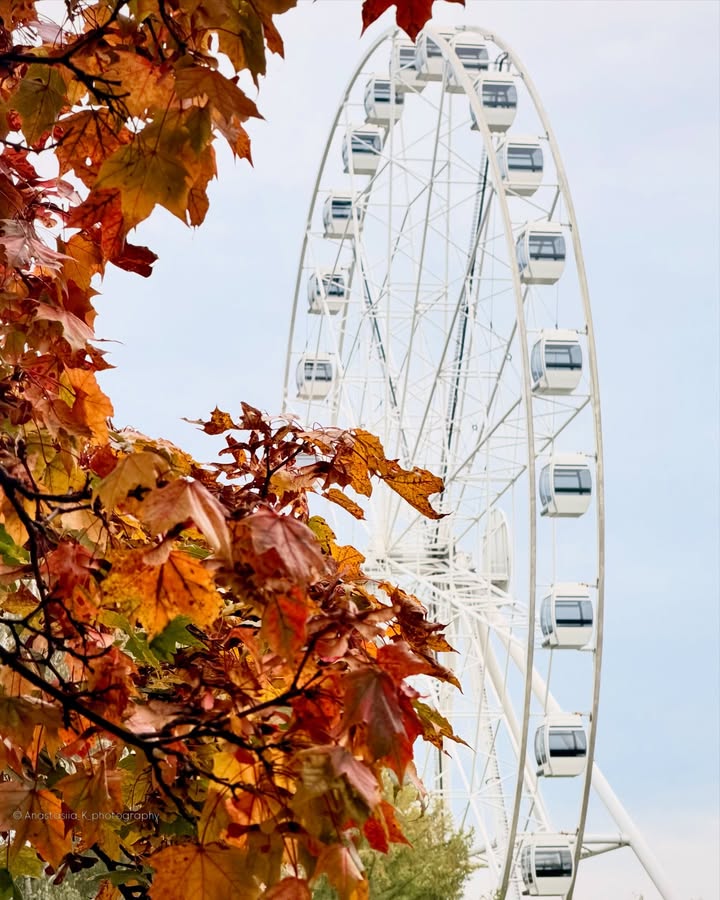 🍁🎡 RUDENS RĪGĀ IR IESĀCIES PA ĪSTAM