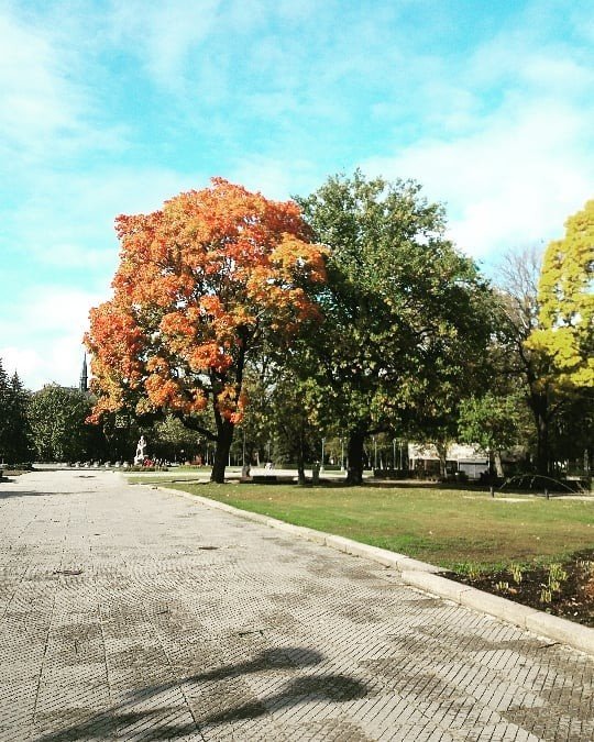 Rīgas Kalendārs 07.10.2019