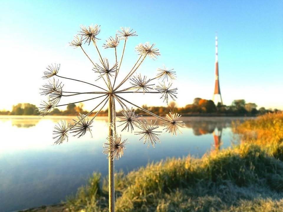 Rīgas Kalendārs – 15.10.2016