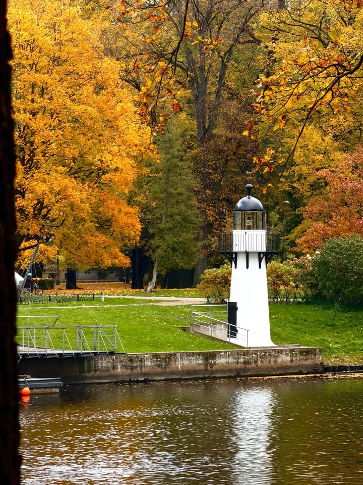 👉 Zelta rudens Rīgā 🍁