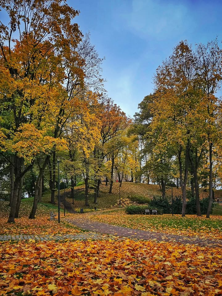 š Aldara Parks